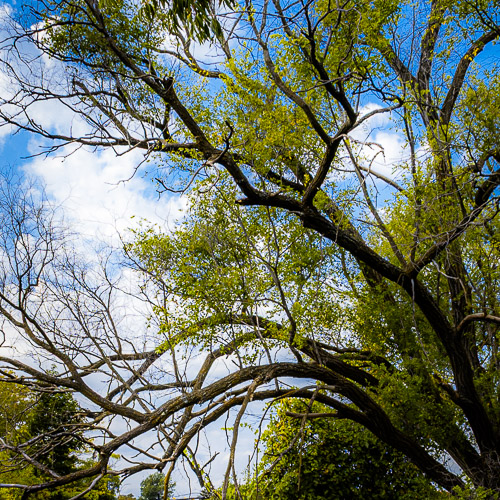 Traverse City, MI - Sep 2024